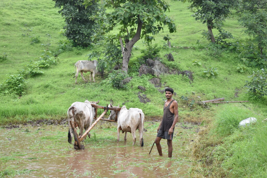 Farmer at work