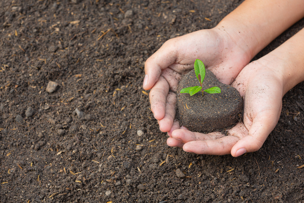 close-up-picture-hand-holding-planting-sapling-plant