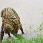 The challenges of the Indian farmer: Electricity, water & more